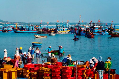 Chợ cá Bình Châu. Ản: Nguyễn Tấn Cư